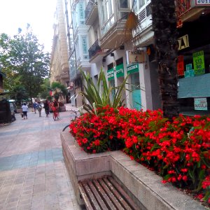 Vitoria - Calle Independencia 1