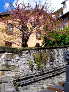 Vitoria - Calle Herreria 12