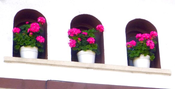 Vitoria - Calle de Zumabide 4
