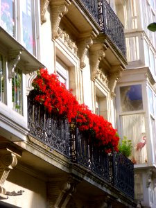 Vitoria - Calle Dato, balcones