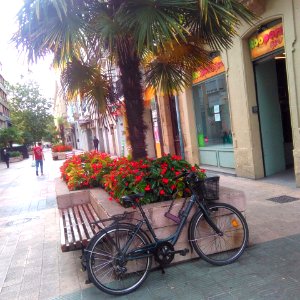 Vitoria - Calle Independencia 2