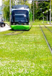 Vitoria - Calle Honduras, Tranvía 2
