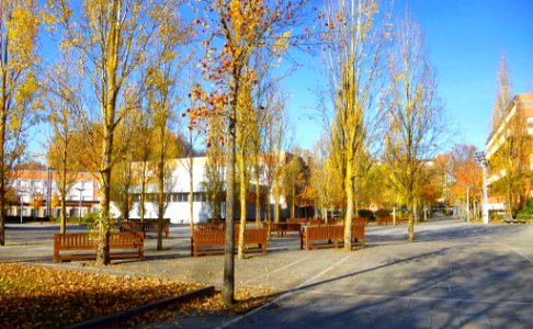 Vitoria - Calle Julio Caro Baroja, Campus Universitario