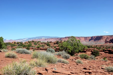 Vista of Capitol Reef