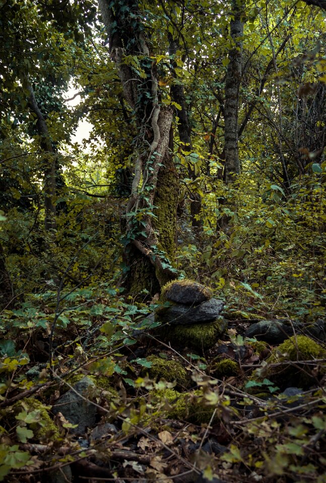 Yellow green creepy