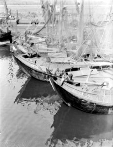 Vissersschepen aan de steiger in de haven van IJmuiden, Bestanddeelnr 252-0663