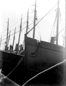 Vissersschepen aan de steiger in de haven van IJmuiden, Bestanddeelnr 252-0665