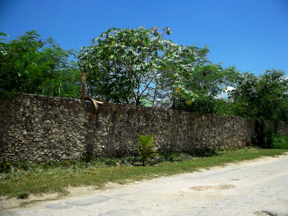 Vista Alegre (Mérida), Yucatán (02)