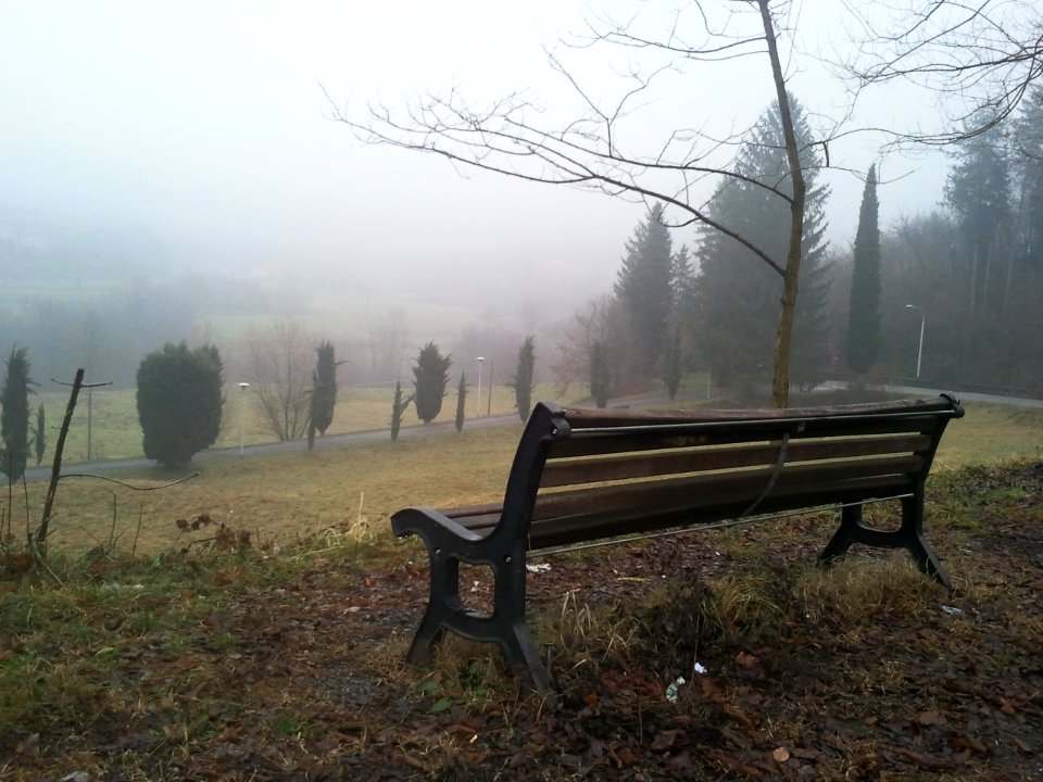 Vista del viale del cimitero di Celana