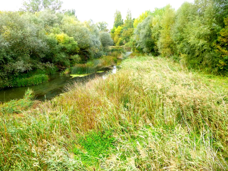 Vitoria - el río Zadorra a su paso por Gamarra Mayor