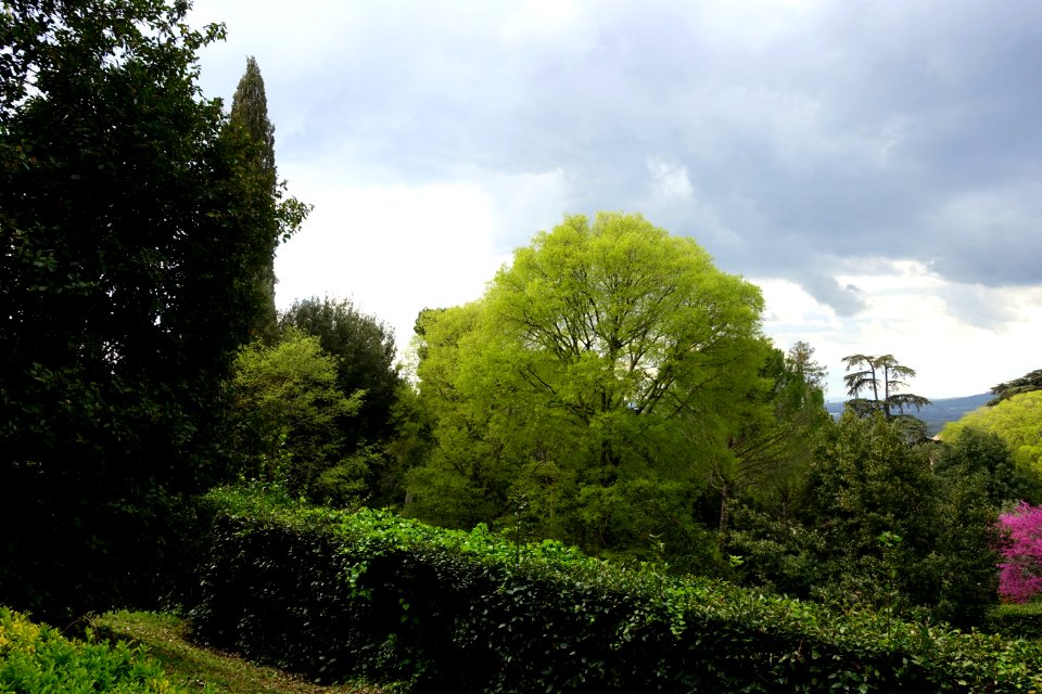 Vista - Villa d'Este - Tivoli, Italy - DSC04082