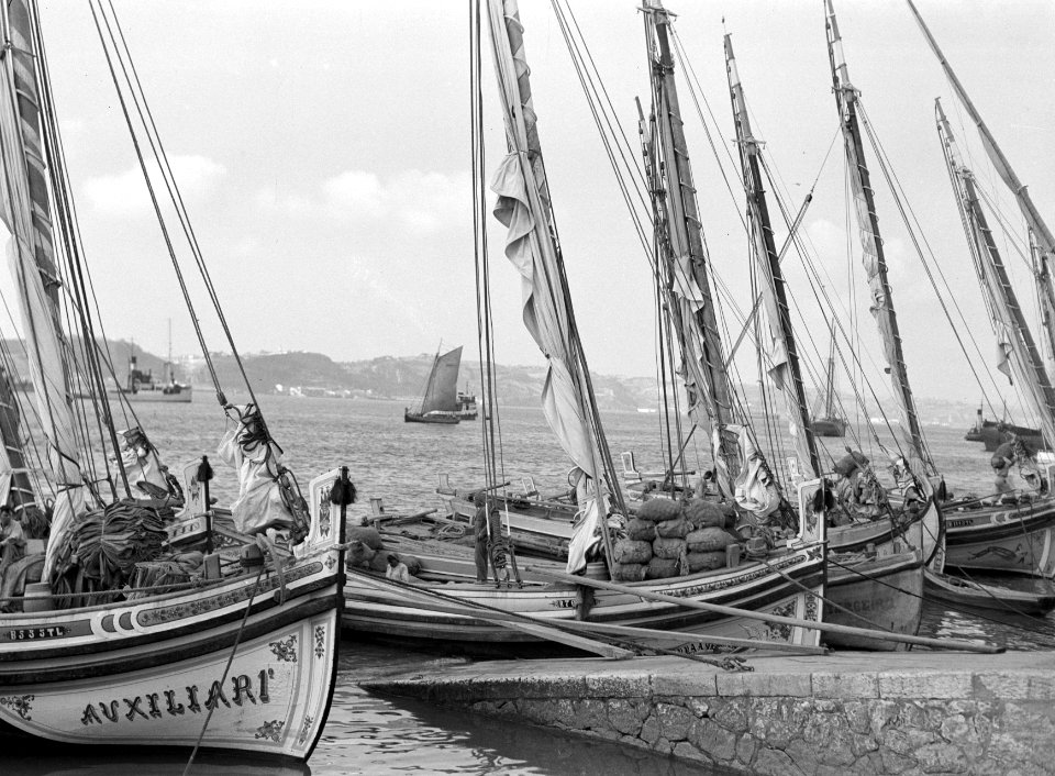 Vissersboten in de haven van Lissabon, Bestanddeelnr 191-0213