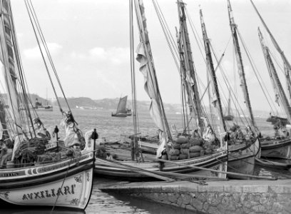 Vissersboten in de haven van Lissabon, Bestanddeelnr 191-0213