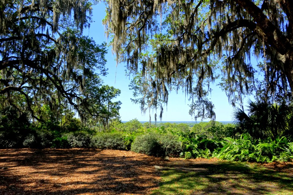 Vista - Bok Tower Gardens - DSC02226