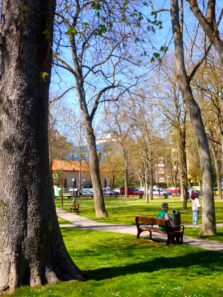 Vitoria - El Prado (primavera de 2019) 03