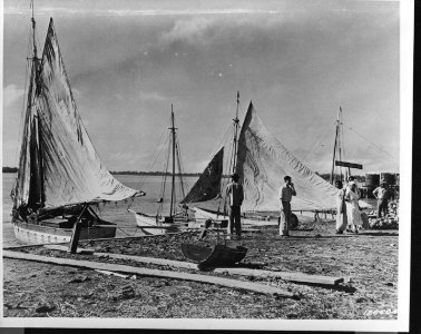 Visserschepen in Nieuw Nickerie, Bestanddeelnr 935-1299