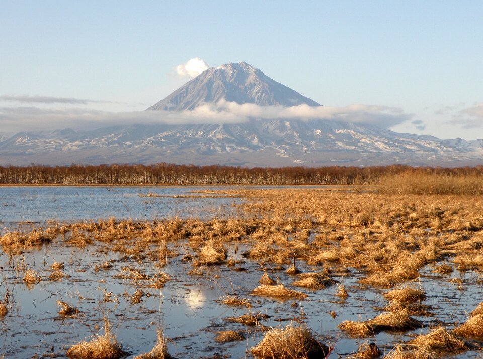 Snow golden grass landscape