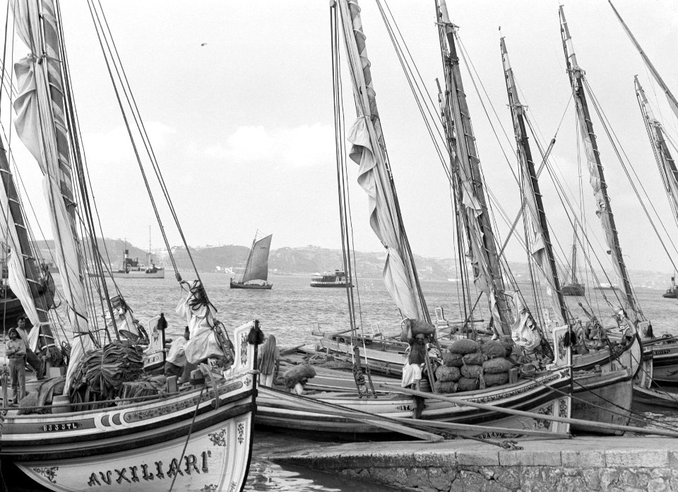 Vissersboten op de Taag bij de haven van Lissabon, Bestanddeelnr 191-0204