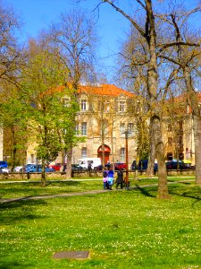 Vitoria - El Prado (primavera de 2019) 04
