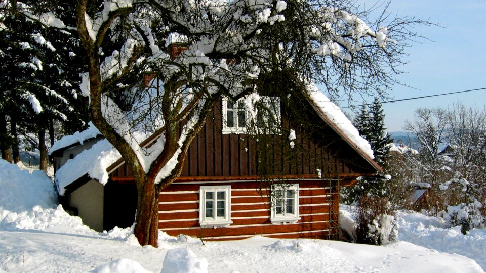 Old architecture timbered building