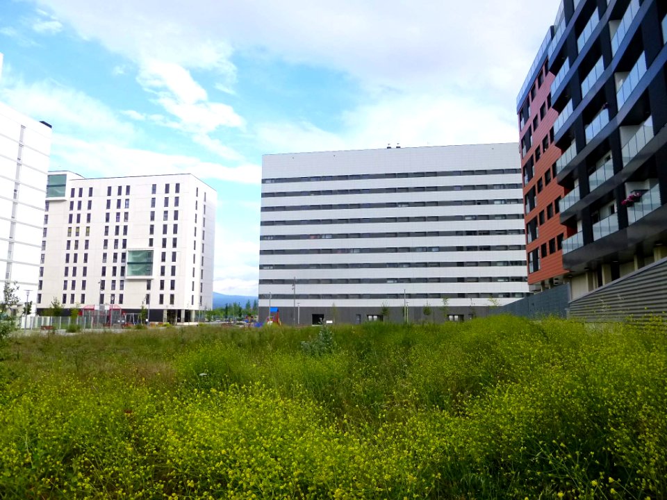Vitoria - Distrito de Salburua, barrio de Arkaiate 04
