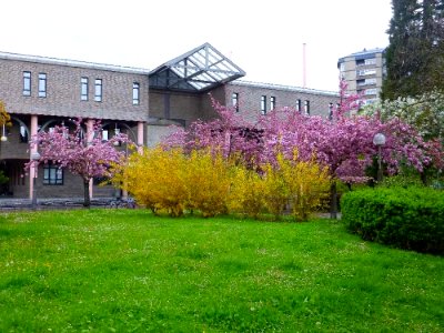 Vitoria - Conservatorio Jesús Guridi