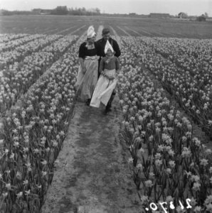 Volendam bezoekt de bollen, Bestanddeelnr 902-1370