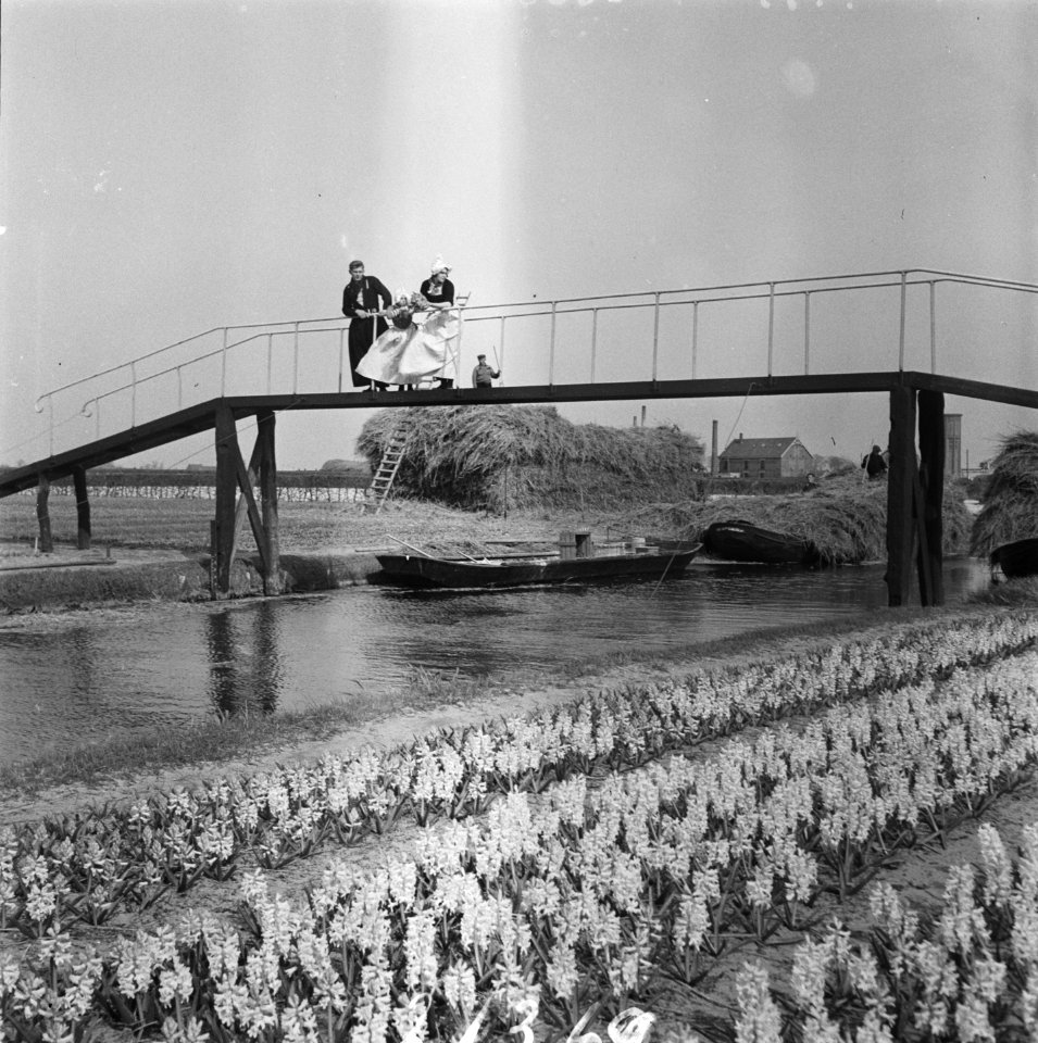 Volendam bezoekt de bollen, Bestanddeelnr 902-1369