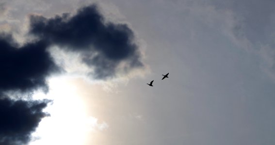 Vol dans les nuages vers la lumière