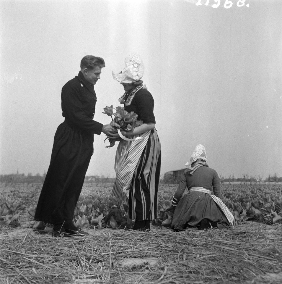 Volendam bezoekt de bollen, Bestanddeelnr 902-1368
