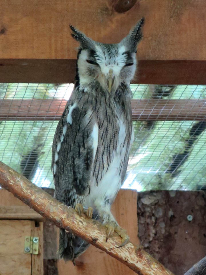 Vogelpark Olching 4