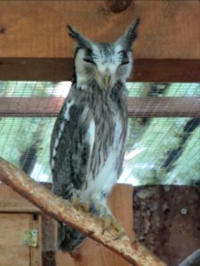 Vogelpark Olching 4