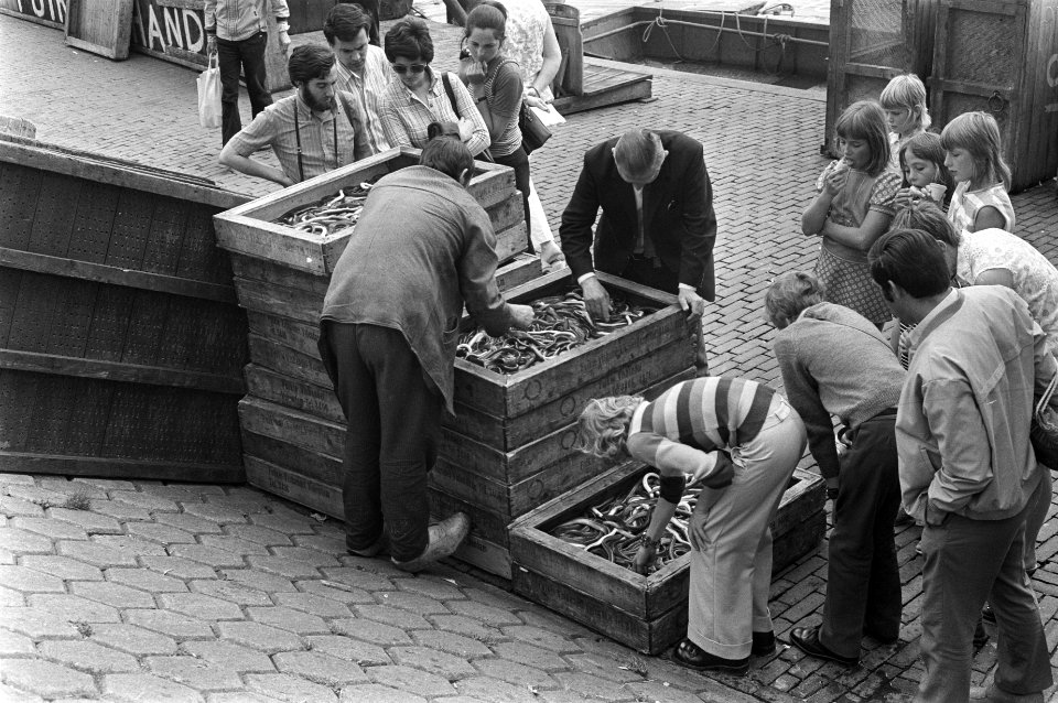 Volendam, haven, souvenirwinkels, etc, Bestanddeelnr 925-7987