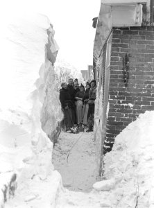 Volendam onder de sneeuw, Bestanddeelnr 902-0378