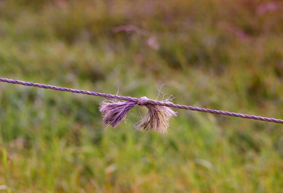 Connect leash fransen