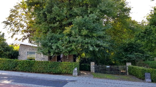 Voerendaal-Kunradersteengroeve (24)