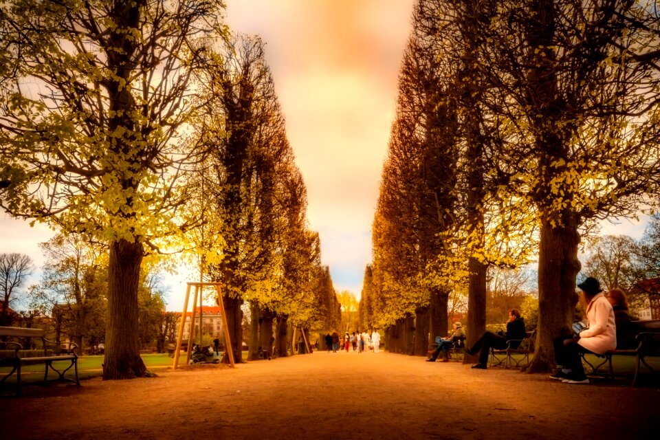 Urban public park walkway