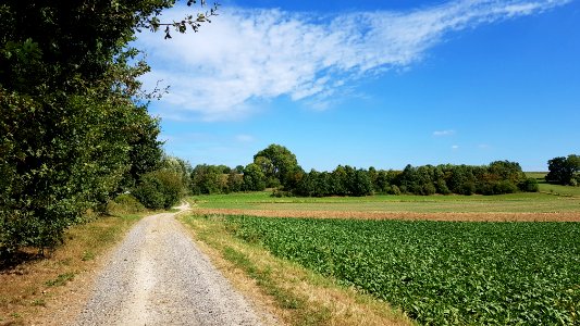 Voerendaal-Groeve aan Kalkovenweg (8)
