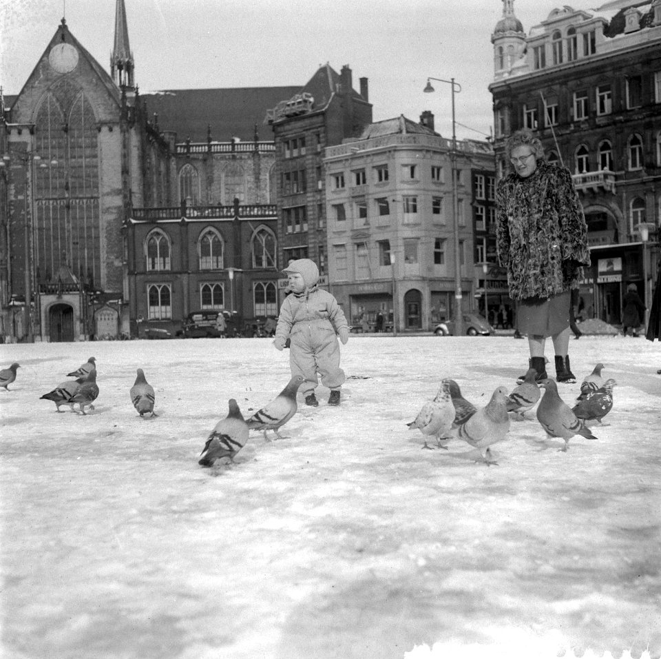 Voeren van vogels op de Dam, Bestanddeelnr 909-3647