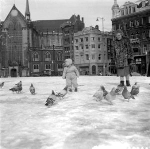 Voeren van vogels op de Dam, Bestanddeelnr 909-3647