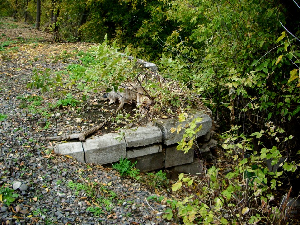 Voennoe pole bridge remains