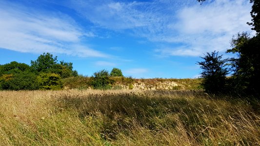 Voerendaal-Groeve aan Kalkovenweg (4)