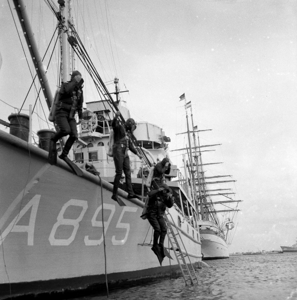 Vlootdagen in Den Helder , duikers springen in het water, Bestanddeelnr 919-4255