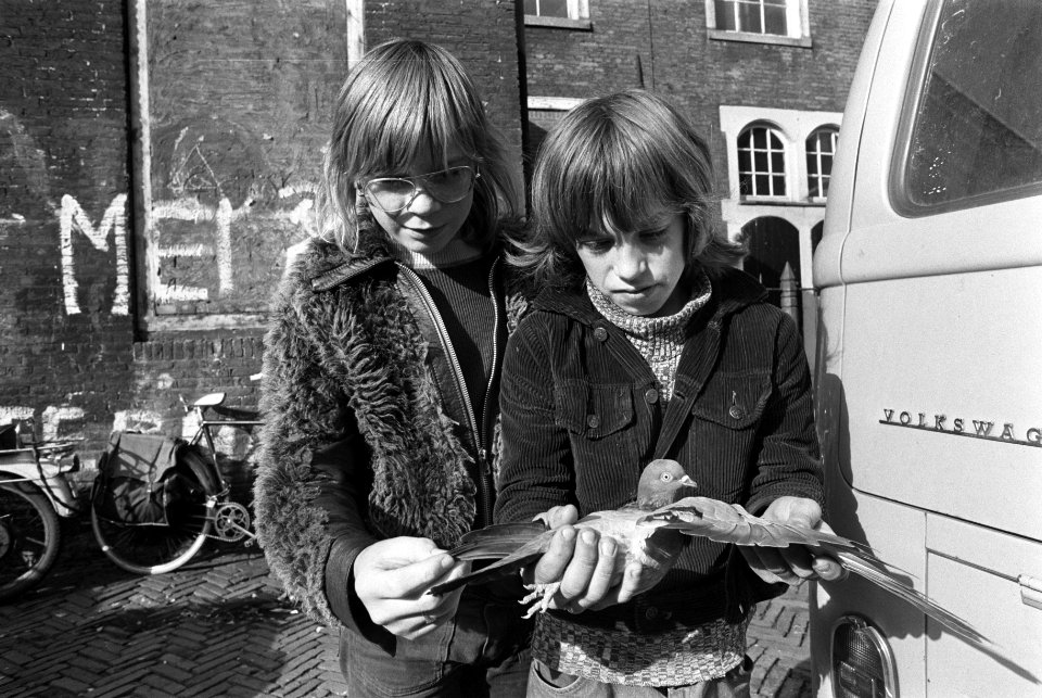 Vogelmarkt op Noordermarkt in Amsterdam kinderen met duif op vogelmarkt, Bestanddeelnr 927-5474