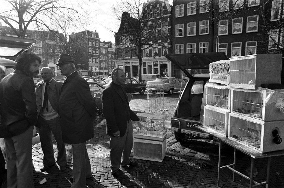 Vogelmarkt op Noordermarkt in Amsterdam, Bestanddeelnr 927-5472