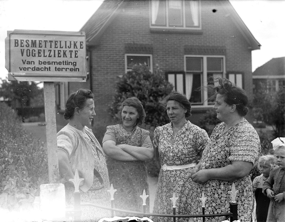 Vogelpest in Barneveld, Bestanddeelnr 904-0388