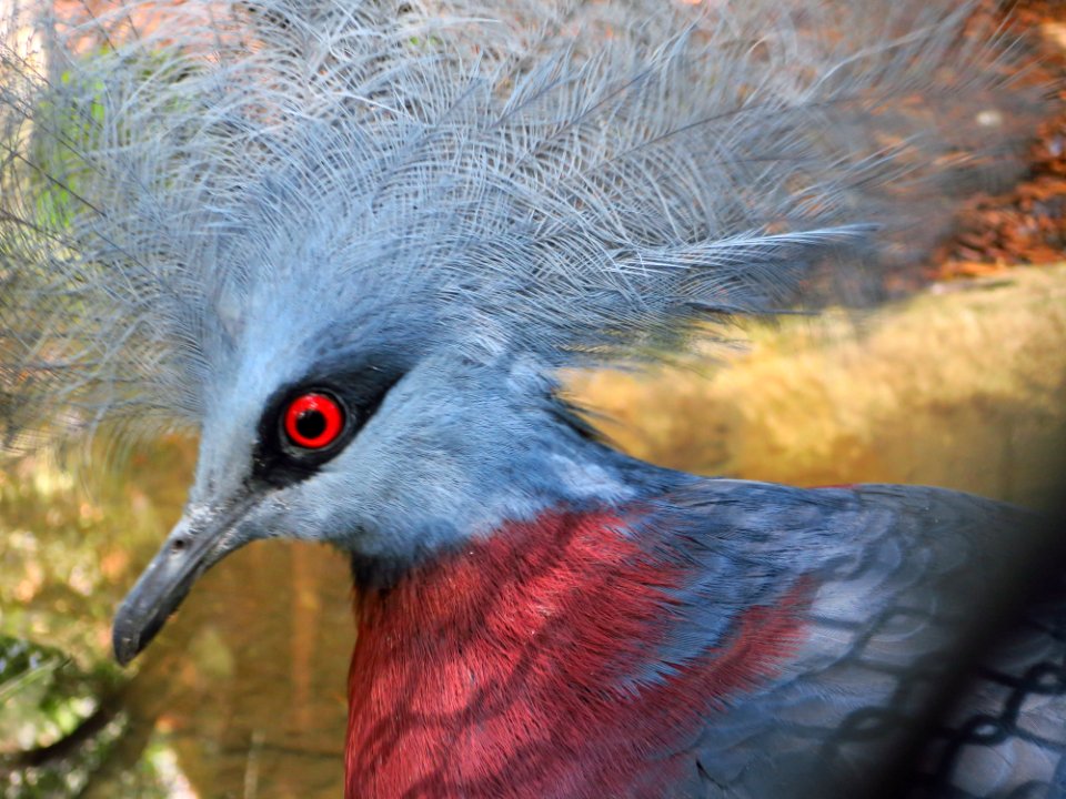 Vogelpark Olching 11