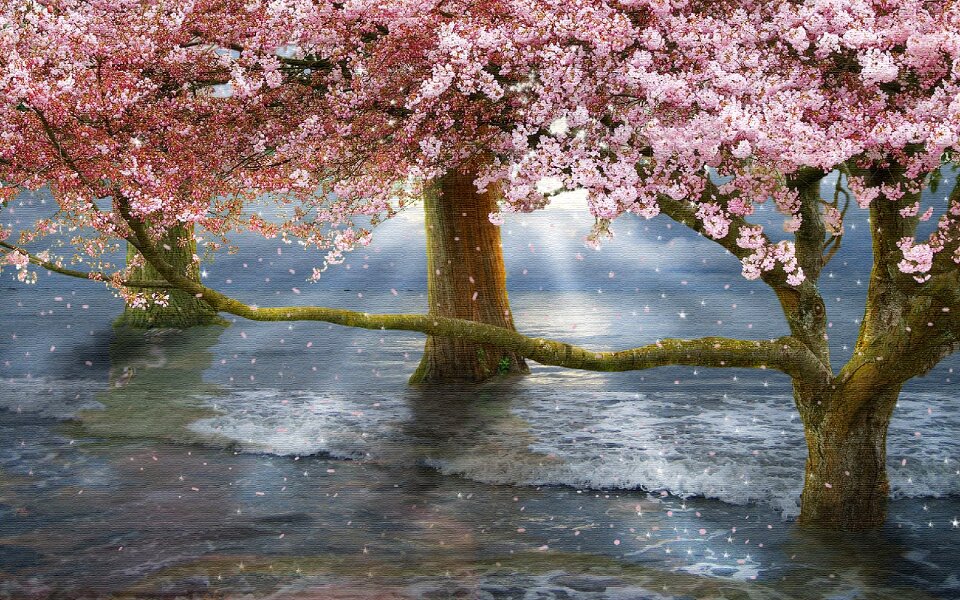 Season flower nature