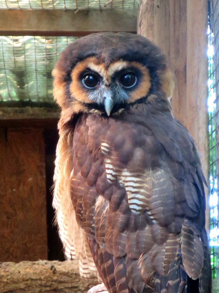 Vogelpark Olching 2