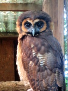 Vogelpark Olching 2
